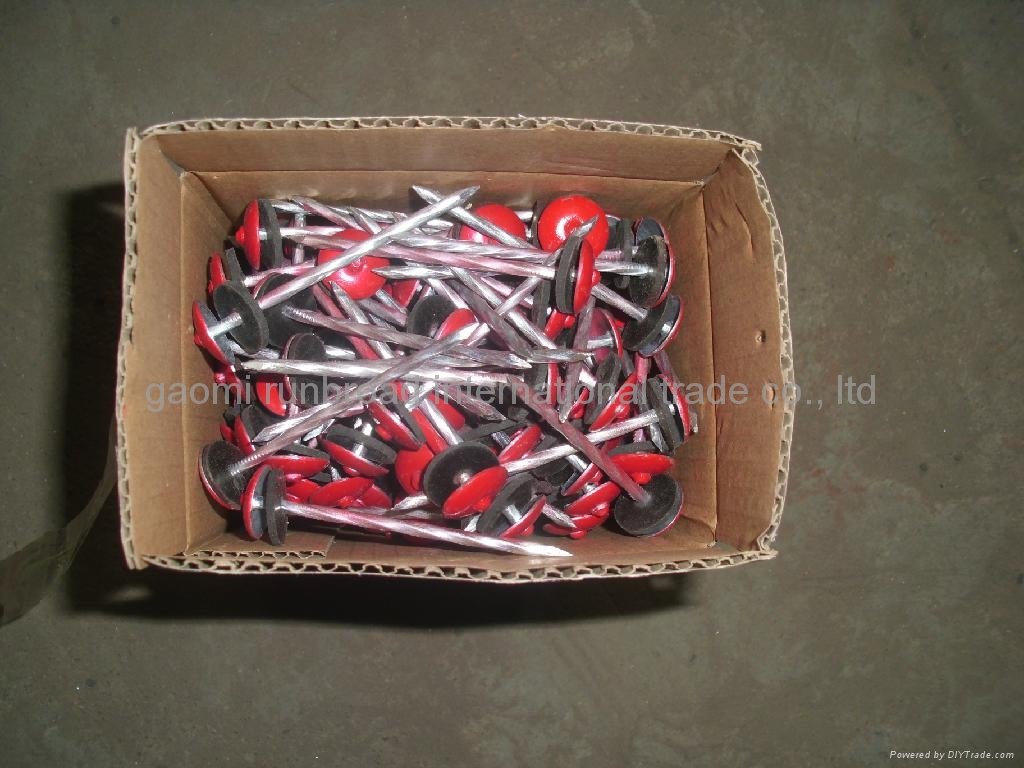 roofing nails