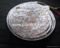 30led digital 5050 rgb led strip apa104