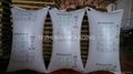dunnage  airbags 2