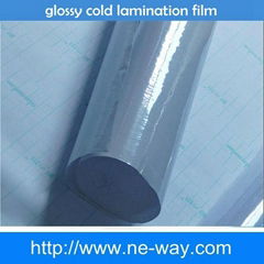 Common PVC Film For Photograph Decoration