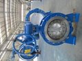 Two metal sealed butterfly valve