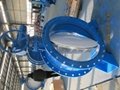 double eccentric spherical rubber sealed butterfly valve