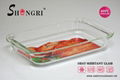 Glass Square baking dish 1