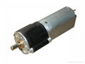 20mm  Gear Motor for Beauty and Hairdressing Tools