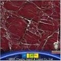 Marble Tiles and Slabs China GIGA natural stone   3