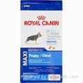 Royal Canin Maxi Puppy Food, 35 lbs