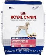 Royal Canin Maxi Large Breed Puppy 32