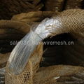 Hot dipped galvanized wire 1