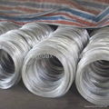 Hot dipped galvanized wire 3