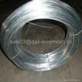 Hot dipped galvanized wire 5