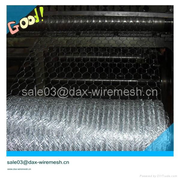 Hexagonal wire mesh 2