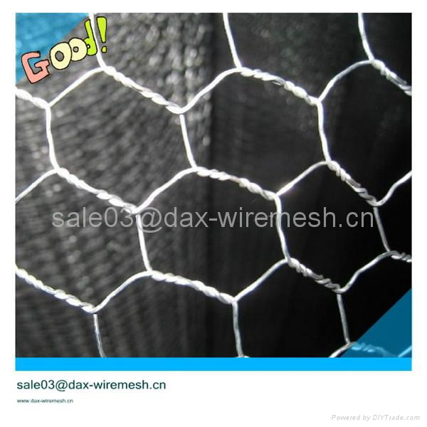 Hexagonal wire mesh 3