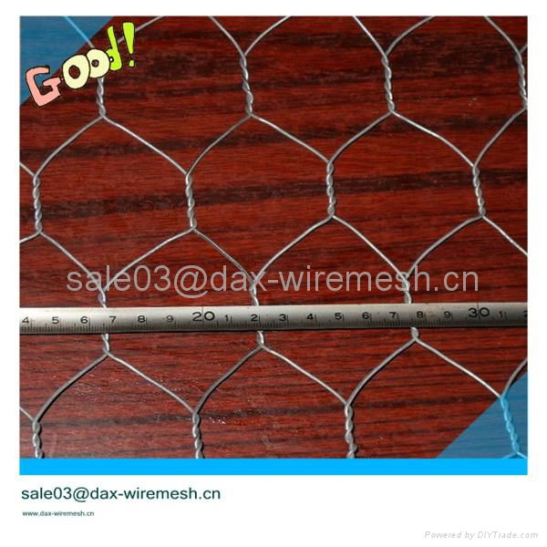 Hexagonal wire mesh 4