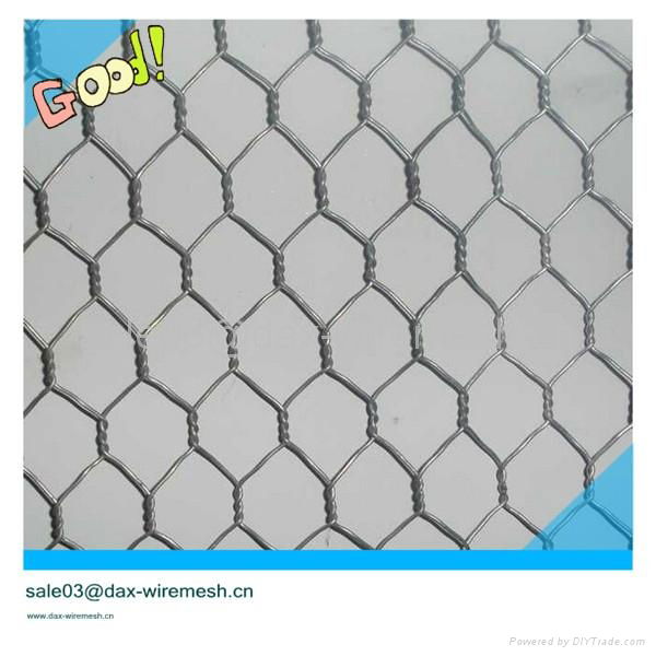 Hexagonal wire mesh 5