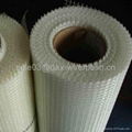 fiberglass mesh 2