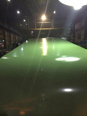 Prepainted Steel Coil 