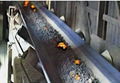PVG conveyor belt