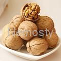 Walnut Seed