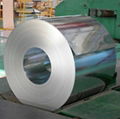 galvanized steel sheet 1