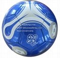 porefessional soccer ball
