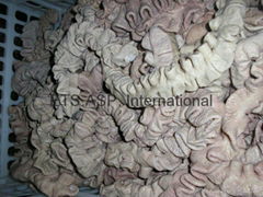 Frozen cow intestine