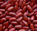 Red kidney beans