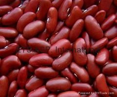 Red kidney beans