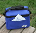 420D disposable cooler bag