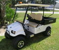 2014 new-design all aluminium electric golf cart with cargo box 1