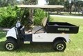 2014 new-design all aluminium electric golf cart with cargo box 2