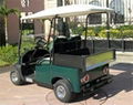 2014 new-design all aluminium electric golf cart with cargo box 3