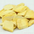 China Lyophilized Mango Slices Freeze Dried Fruit Bulk Wholesale 1