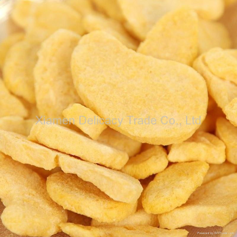 China Lyophilized Mango Slices Freeze Dried Fruit Bulk Wholesale 2