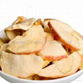 Supplying Freeze Dried Fruit Apple Slices Wholesale as Healthy Snacks