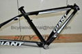 2012 GIANT XTC FR Aluminum alloy bicycle frame 3