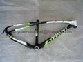 DHL free shipping Carbon bicycle frame