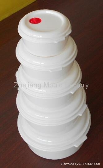 moulds for microwave oven box 3