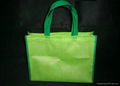 non woven bag 1