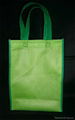 non woven bag 3