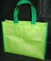 non woven bag 4