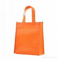 non woven bag 1