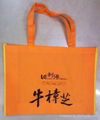 Foldable polyester bag  1