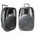 amplified PA system AK12-201 1