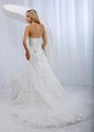 Wedding dresses wedding gown bridal dresses 2