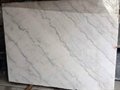 Chinese Carrara White Marble slabs