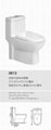 siphonic one piece toilet 1