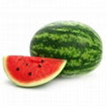 Fresh Watermelon