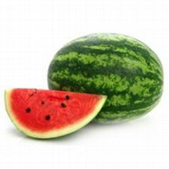 Fresh Watermelon