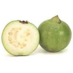 Fresh Guava