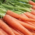 Fresh Carrot 1